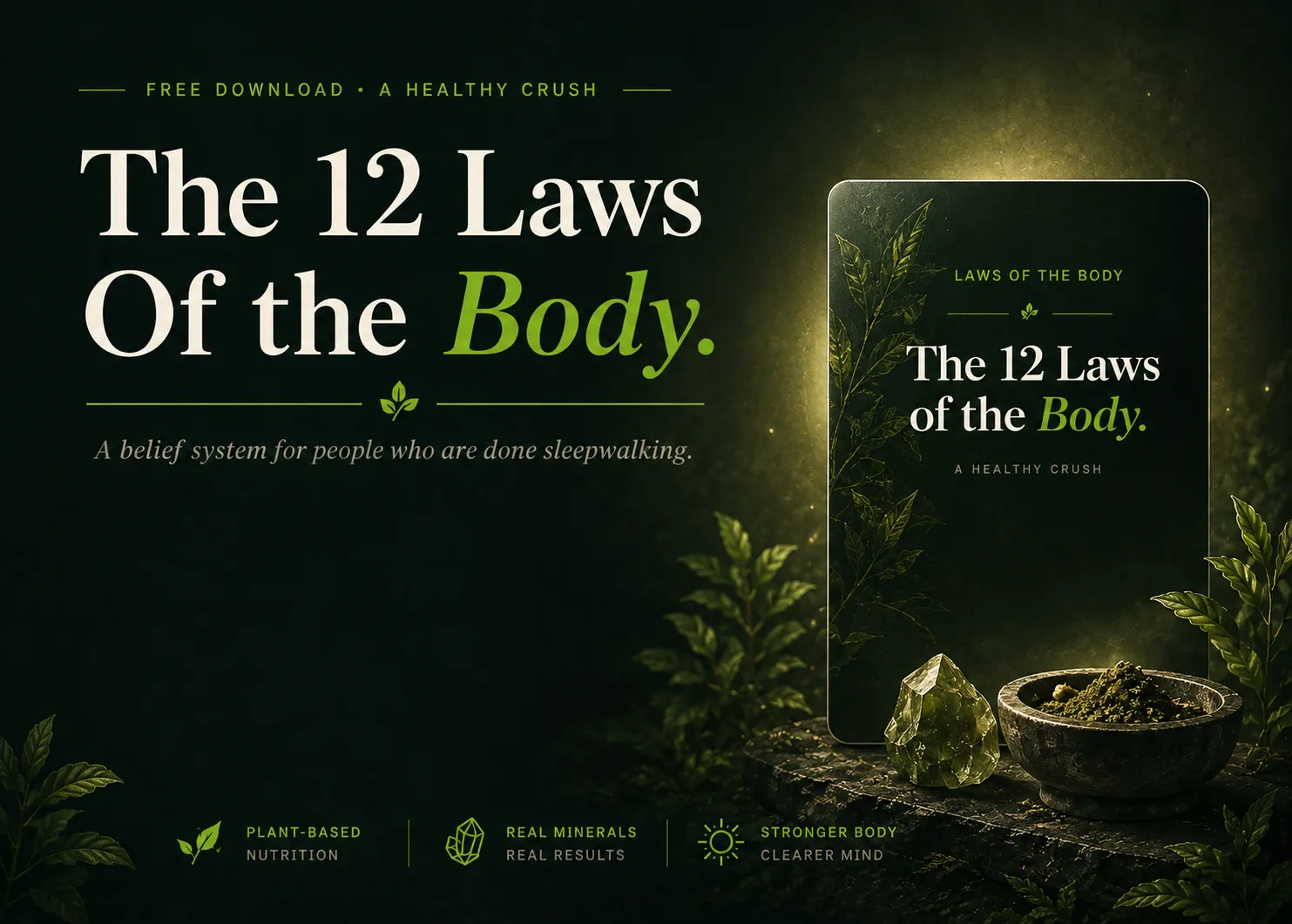 12 Laws Of The Body