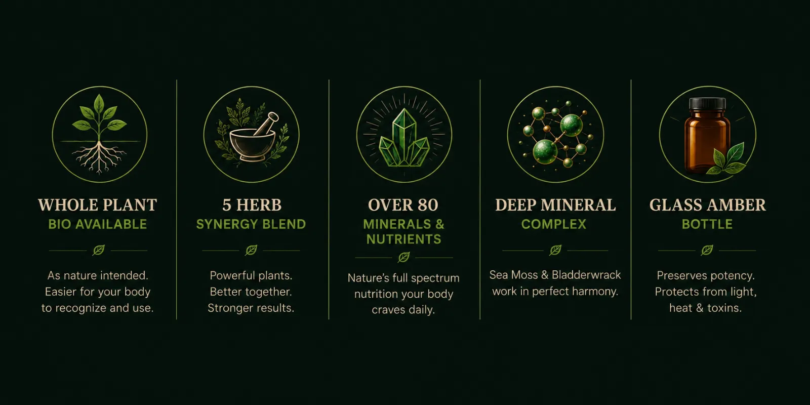 Whole Plant Bio Available · 5 Herb Synergy Blend · Over 80 Minerals & Nutrients · Whole-Plant Mineral Blend · Glass Amber Bottle